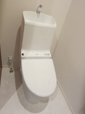 Toilet. It is a comfortable toilet with bidet