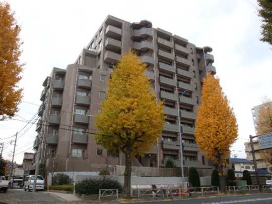 Local appearance photo. 2013 December shooting