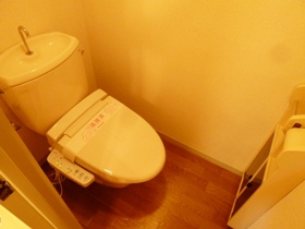 Toilet. It is a toilet with a washing toilet seat