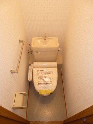 Toilet. New goods cleaning toilet seat.