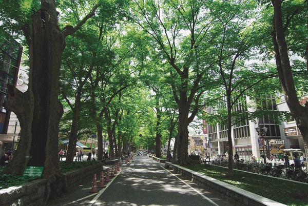 "Baba Daimon Zelkova trees" about 230m, 3-minute walk. About 150 pieces beautiful landscapes zelkova is followed by the. It has been designated as a national natural treasure
