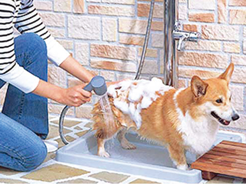 Other.  [Pet foot washing place] Set up a pet care corner Tachiyoreru after the walk. When returning to the room, To keep the health of the apartment within the living space.