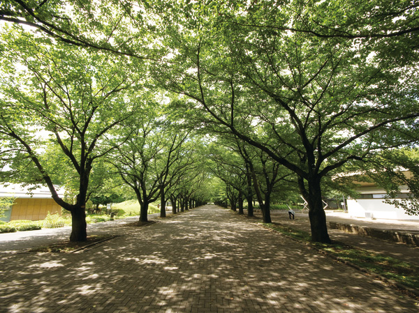Surrounding environment. Tokyo Metropolitan Fuchu Forest Park (about 1450m, 19 minutes walk)