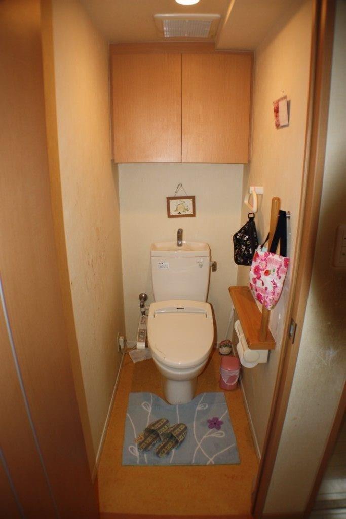 Toilet. Indoor (January 2014) Shooting