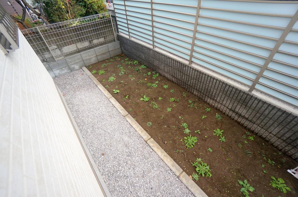 Garden. Local Photos