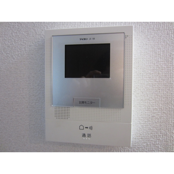 Living and room. Safety in the TV monitor with intercom