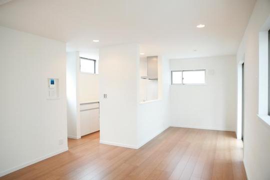 Kitchen. Living is the face-to-face kitchen that looks.