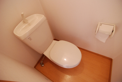 Toilet. Space is no feeling of pressure