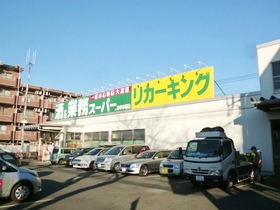 Other. 440m to business super Fuchu Hon'yado shop (Other)