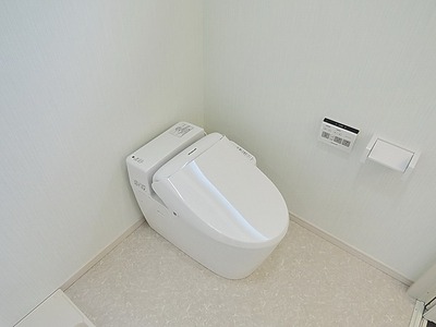 Toilet. Bidet with toilet