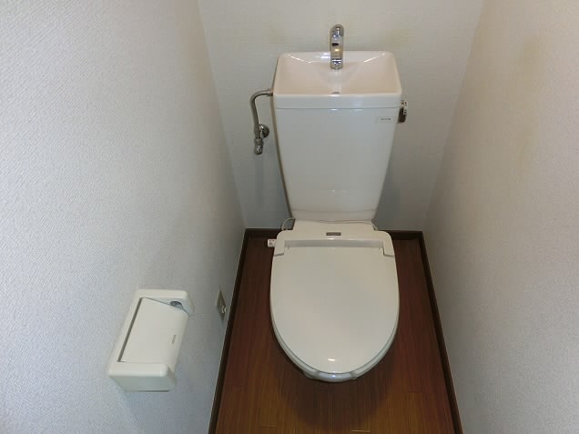 Toilet. It is the entire private room.