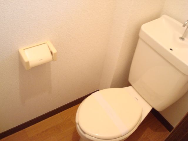 Toilet. Toilet