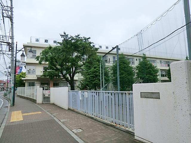 Primary school. 303m to Fuchu Municipal Fuchu seventh elementary school