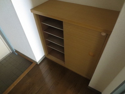 Entrance. It can be used widely entrance and a shoe box.