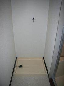 Living and room. There is storage room washing machine