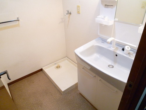 Washroom. This basin dressing room