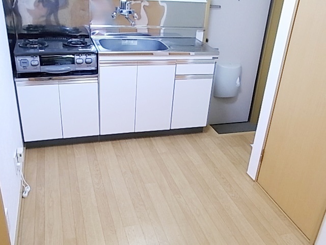 Kitchen. Kitchen space