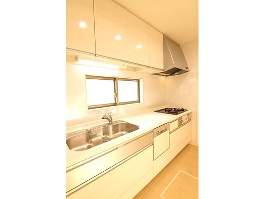 Kitchen. Kitchen of the same specification (pre-sale)