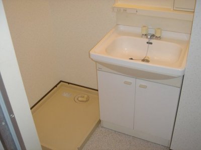 Washroom. Laundry Area and washbasin