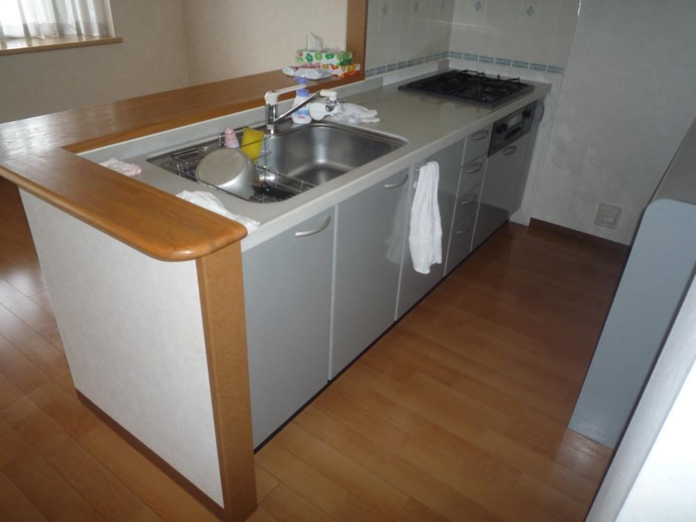 Kitchen. Indoor (June 2013) Shooting It will be large kitchen