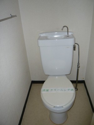 Toilet. Toilet