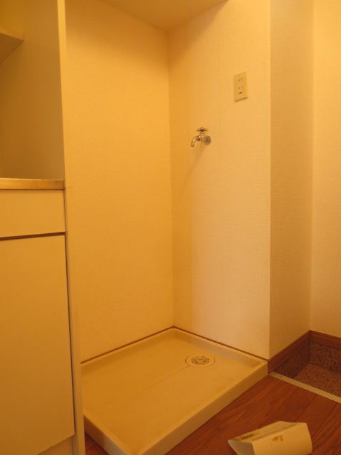 Other room space. Laundry space