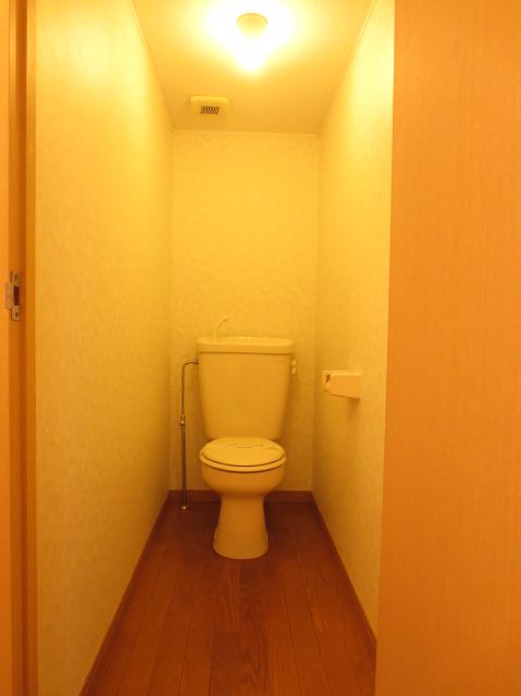 Toilet. Toilet