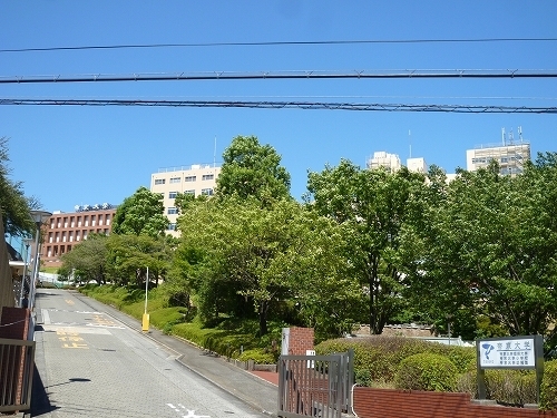 Other. 730m to Teikyo University (Other)