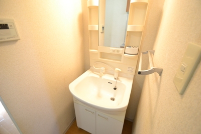 Other. Wash basin