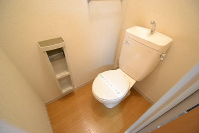 Other. Toilet