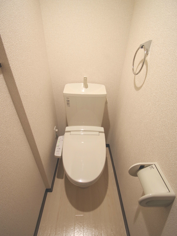 Toilet. Happy is with a bidet