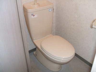 Toilet. Toilet