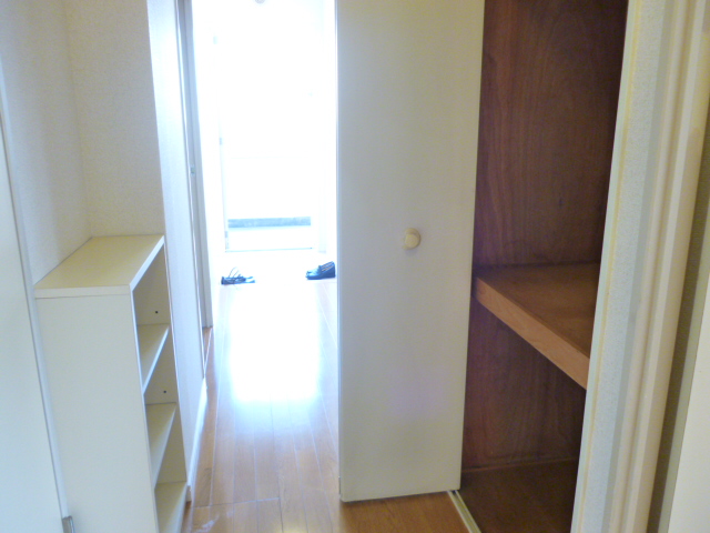 Other room space. There is storage in the hallway, I am happy