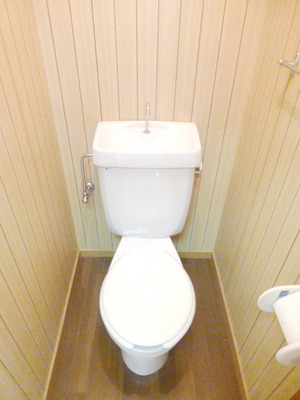 Toilet. Toilet space