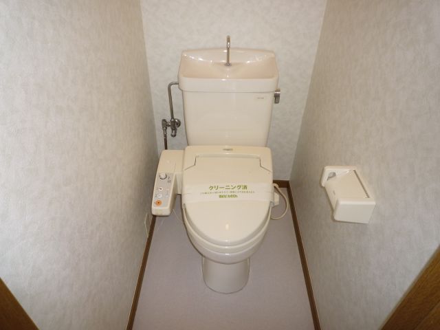 Toilet. Shower Tsu with toilet