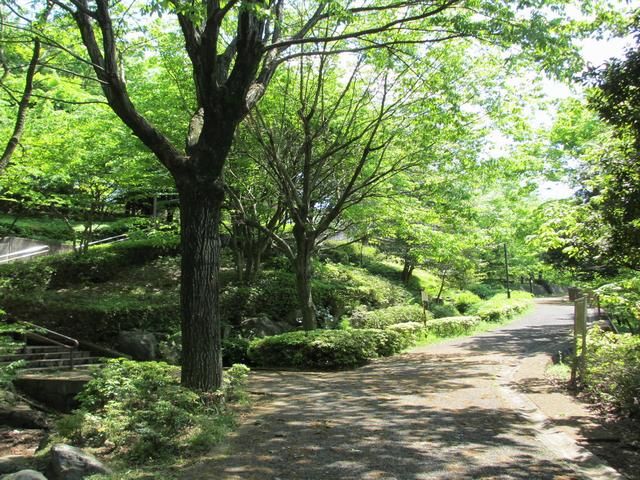 Convenience store. 410m to Seven-Eleven (convenience store)