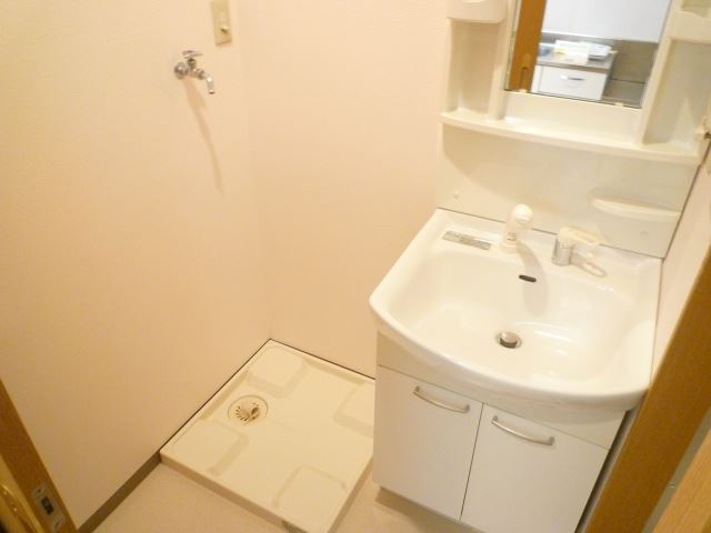 Washroom. It is with a popular shampoo dresser