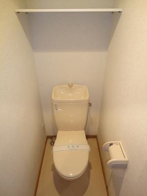 Toilet.  ☆ It is clean your toilet ☆ 