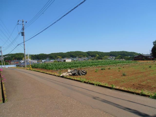 View photos from the dwelling unit. View from local (May 2013) Shooting