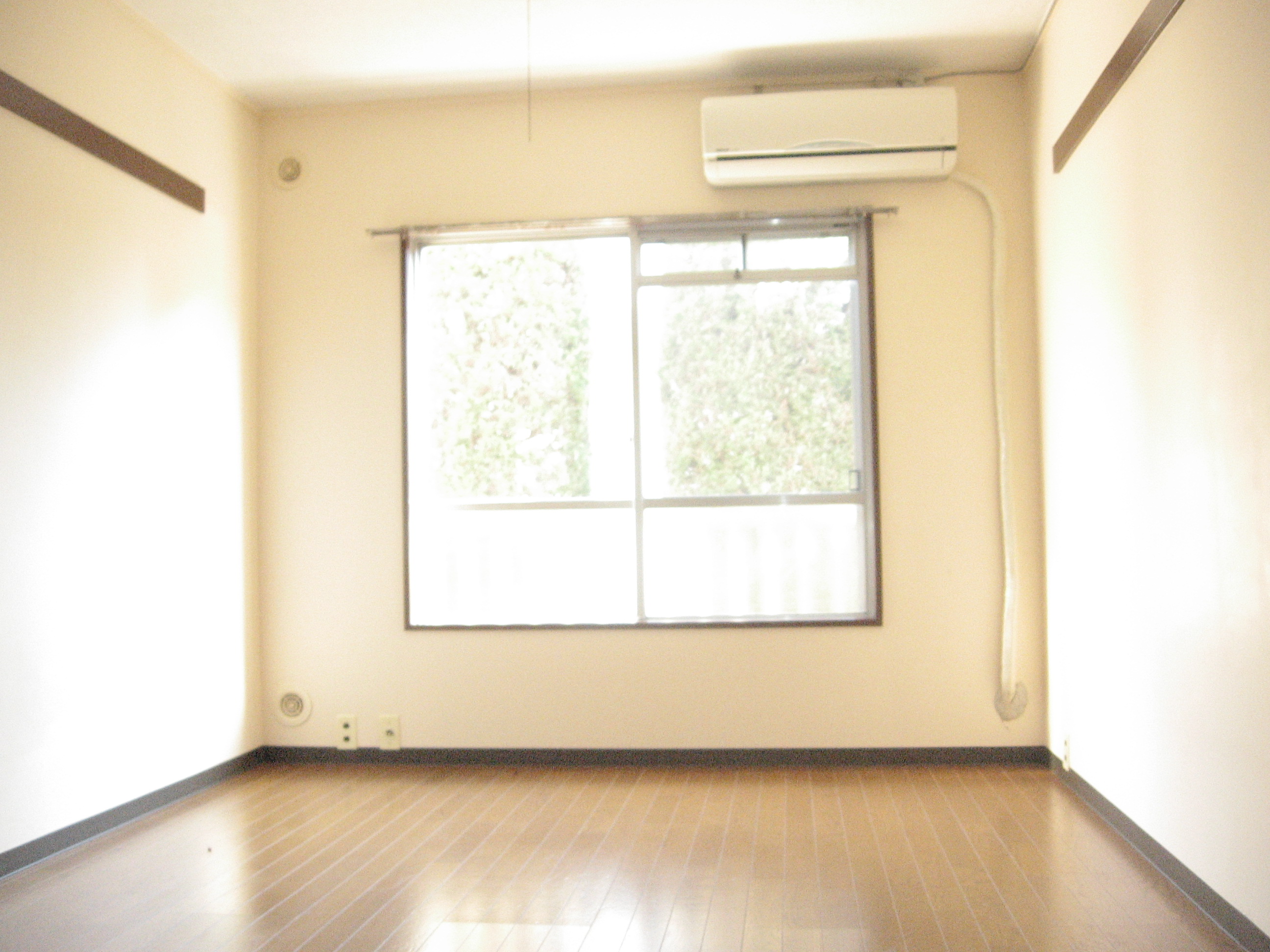 Living and room.  ☆  Indoor flooring  ☆