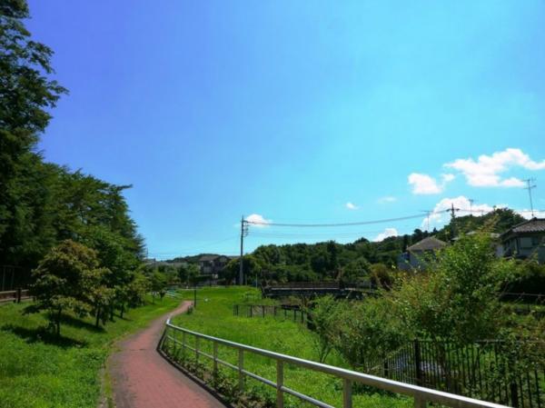 Other local
