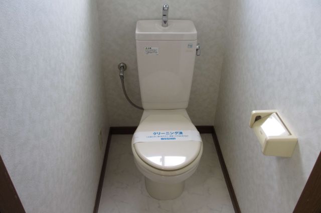 Toilet. Toilet