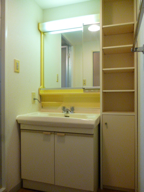 Washroom. With a convenient shelf next to the wash basin