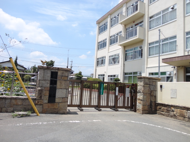 Junior high school. 1978m to Hachioji Municipal seventh junior high school (junior high school)