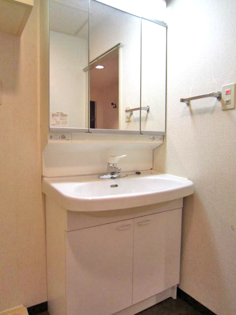 Washroom. A large mirror with