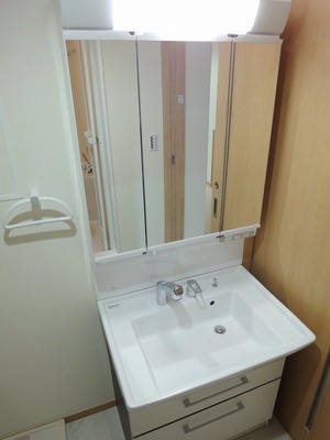 Washroom. Shampoo dresser