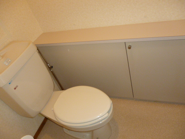 Toilet. Toilet with storage shelf.