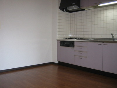 Kitchen. System kitchen!