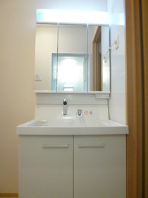 Washroom. Shower with separate wash basin