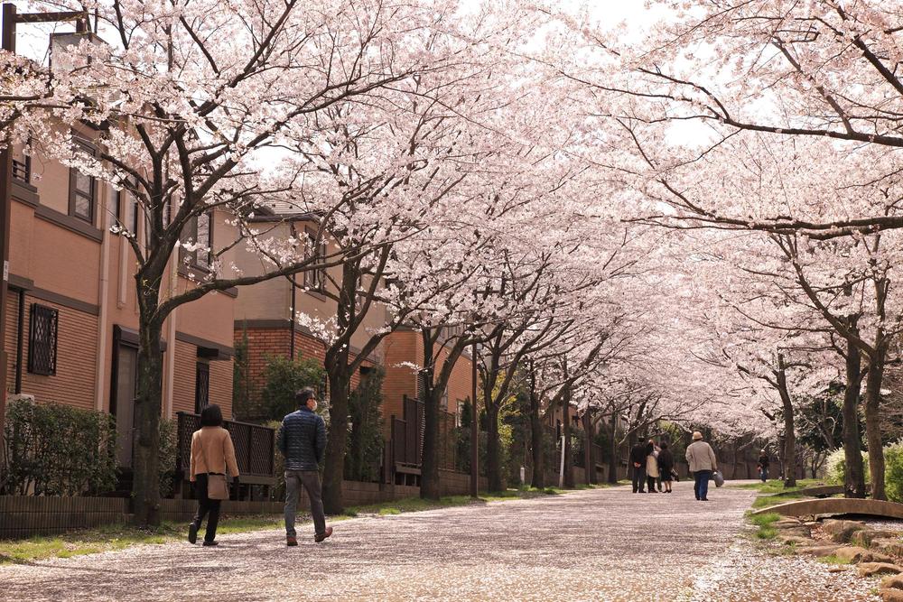 Other. Located in the location that is connected by a beautiful promenade from Minami-Osawa Station. Safe and comfortable access to not cross the crosswalk. Comfortably even jogging and cycling, Cherry blossoms in full bloom greets in the spring. 